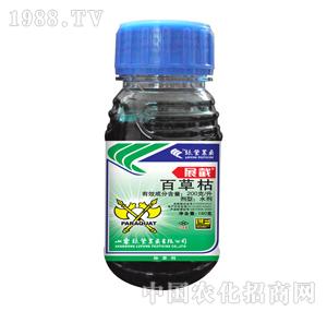 �G�S�rˎ-չ��