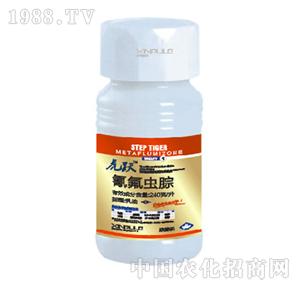 ���՘�-����x��