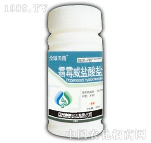 ��¶-˪ù���}���}