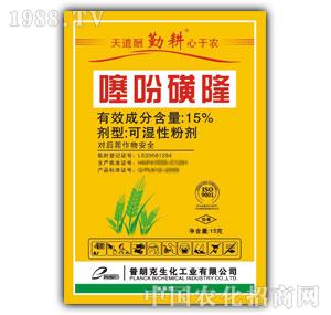 ���ʿ�-��Ի�¡