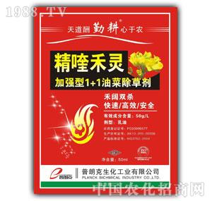 ���ʿ�-�Ͳ�1+1���݄�