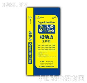 ����-�����������