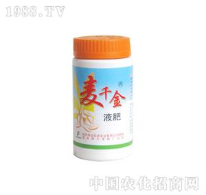 ����-��ǧ��