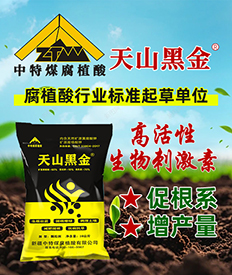 新疆中特煤腐植酸有限公司