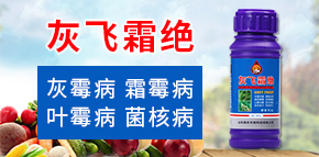 ɽ�|���r(n��ng)����Ƽ����޹�˾